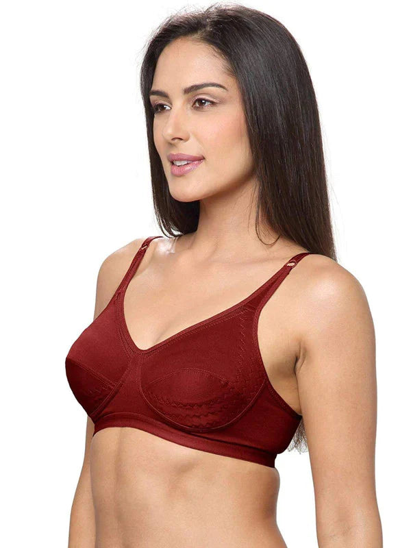 Maroon Non Padded Non Wired Full Coverage Bra ( Pack of 2 )